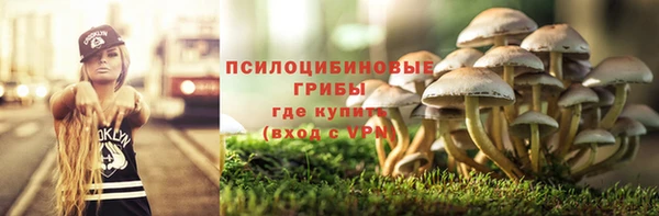 a pvp Абаза