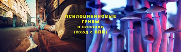 a pvp Абинск